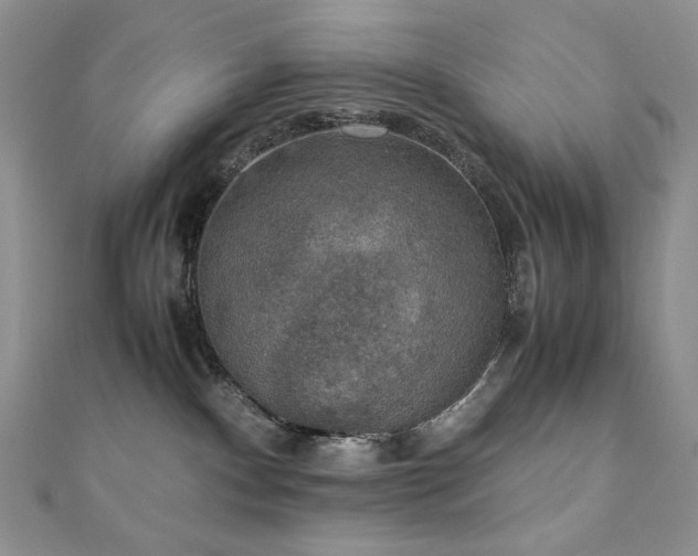 X0000110890140200906181253