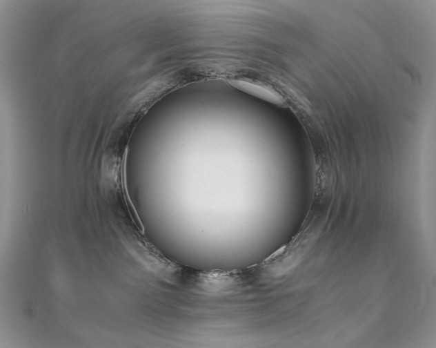 X0000110890141200906181253