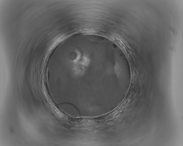 X0000110890145200906181252