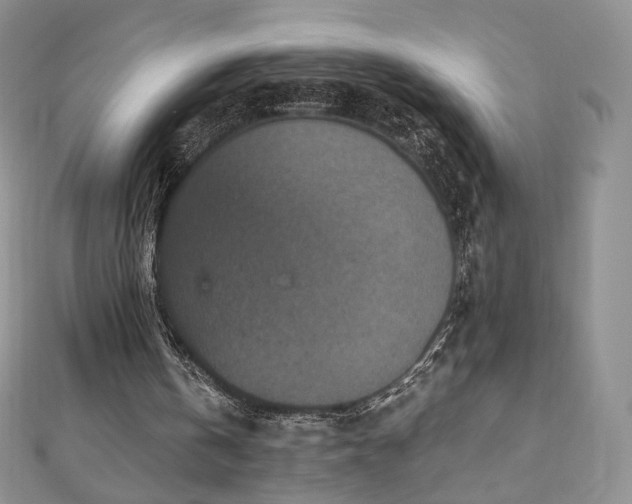 X0000110890146200906181252