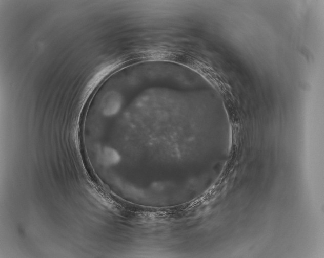 X0000110890147200906181253