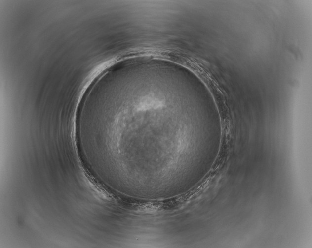 X0000110890148200906181253