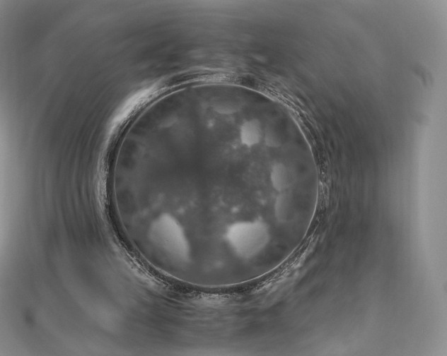 X0000110890149200906181253