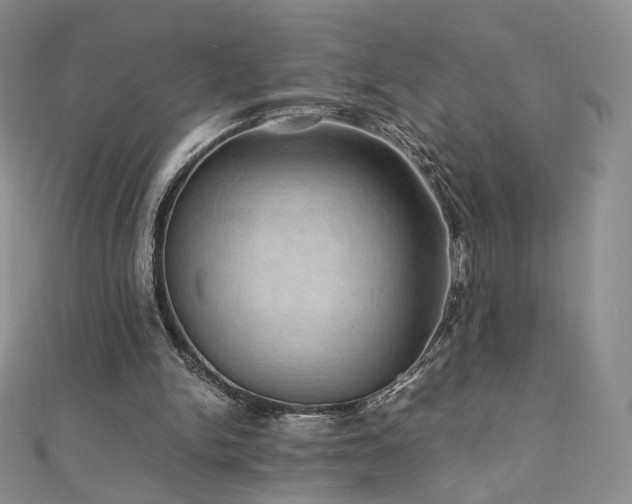 X0000110890150200906181253