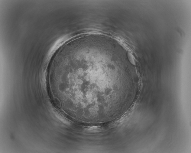 X0000110890151200906181253