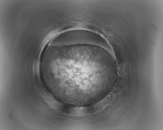 X0000110890152200906181253