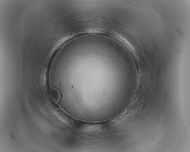 X0000110890155200906181253