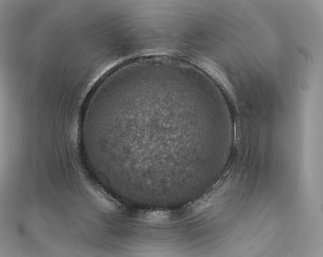 X0000110890156200906181253