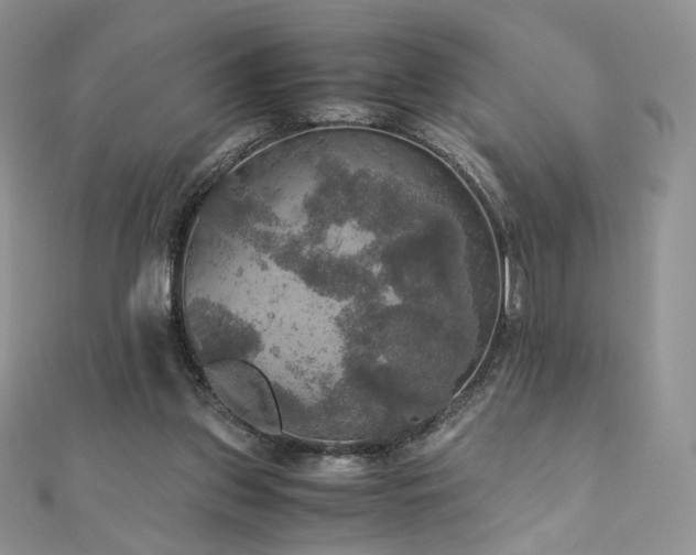 X0000110890157200906181253
