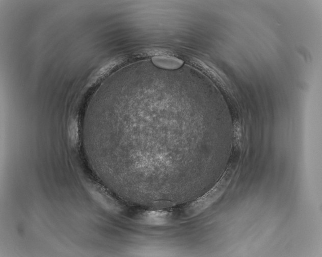 X0000110890158200906181253