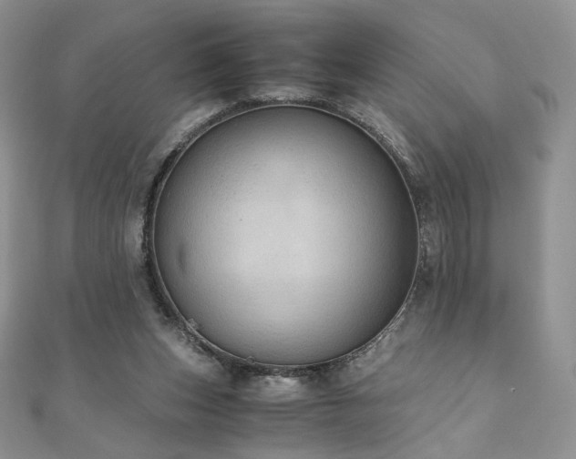 X0000110890159200906181253