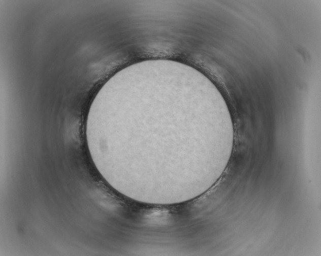 X0000110890162200906181253