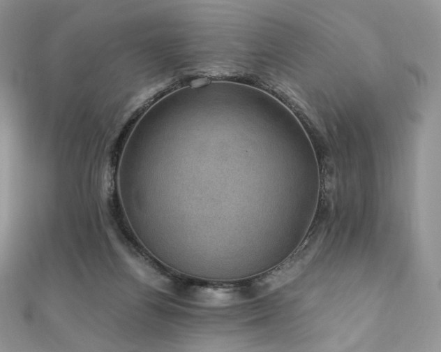 X0000110890164200906181253