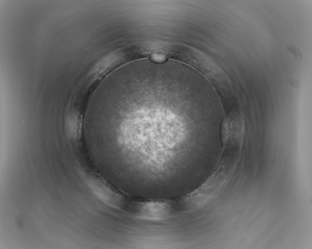 X0000110890168200906181253