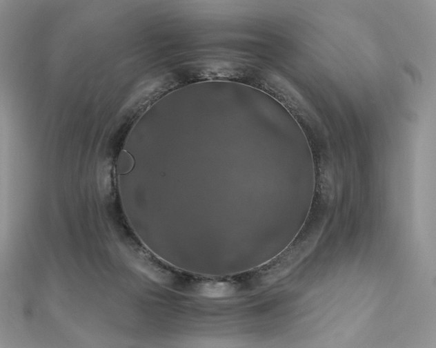 X0000110890169200906181253