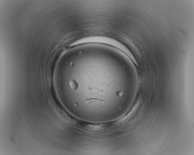 X0000110890170200906181253