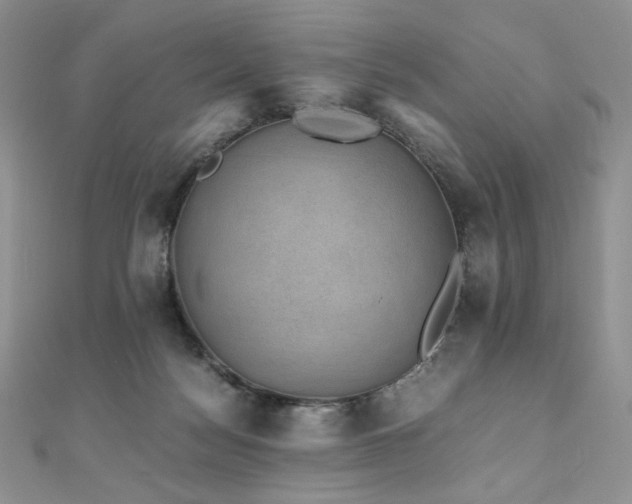 X0000110890172200906181253
