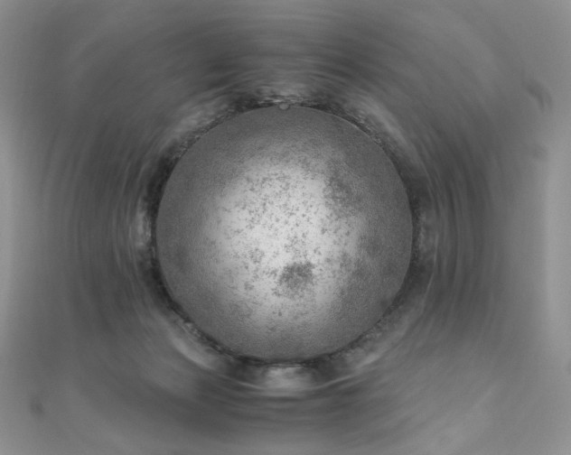 X0000110890173200906181253