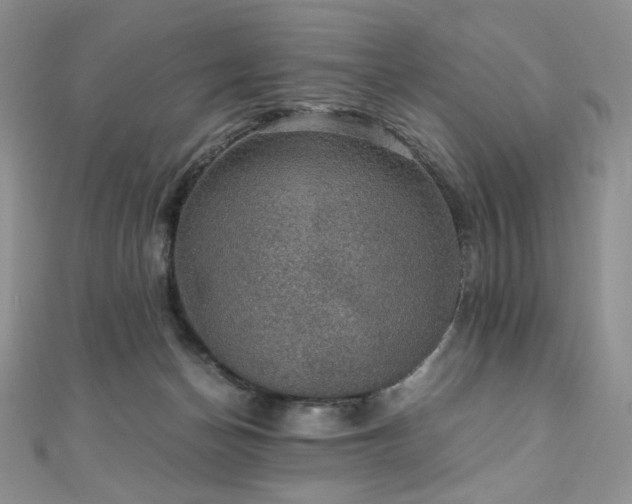 X0000110890174200906181253