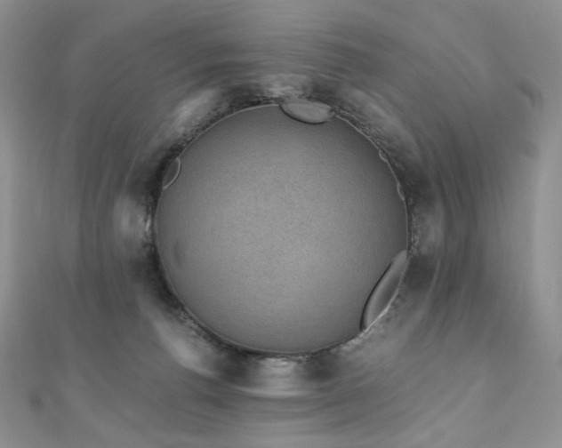 X0000110890176200906181253