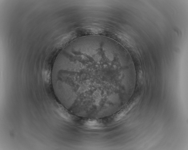 X0000110890177200906181253