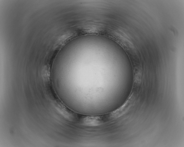 X0000110890179200906181253