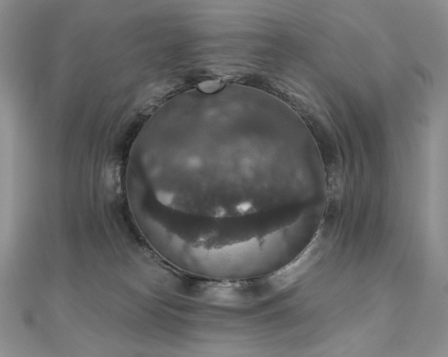 X0000110890182200906181253