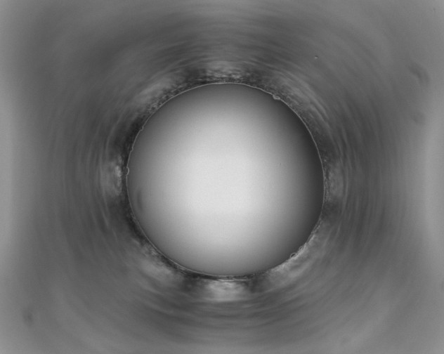 X0000110890183200906181253