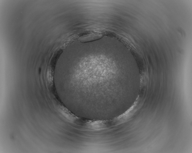X0000110890186200906181253