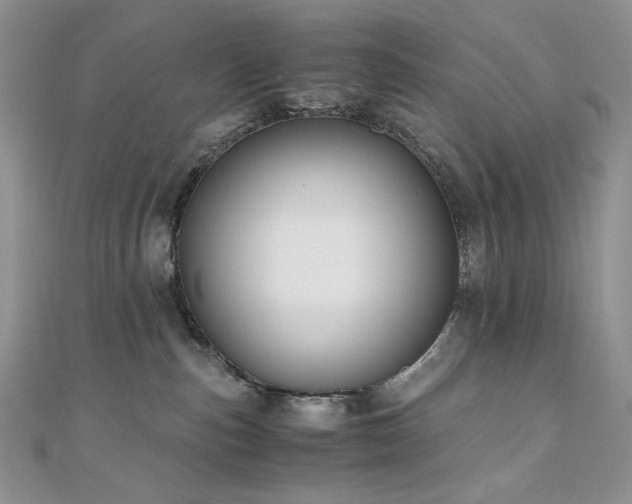 X0000110890187200906181253