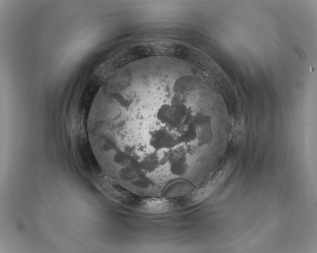 X0000110890189200906181253
