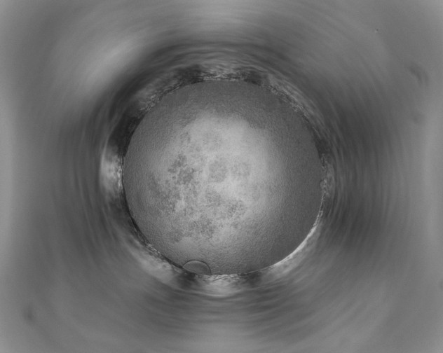 X0000110890191200906181253