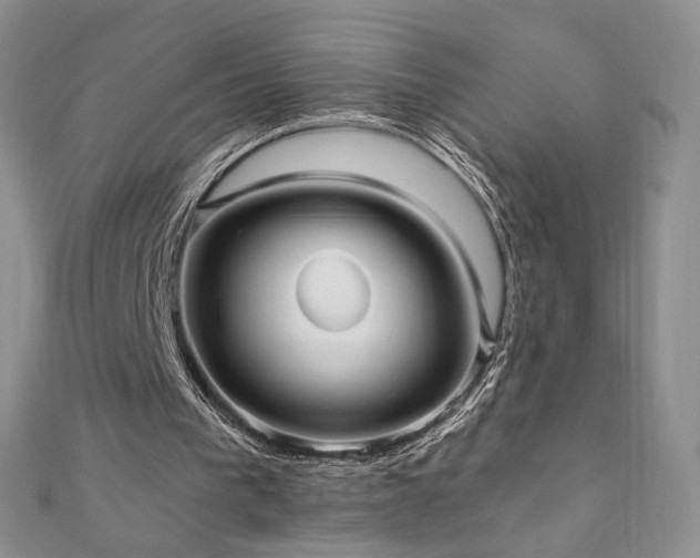 X0000110890193200906181252