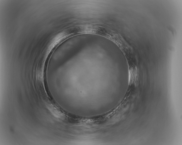 X0000110890195200906181252