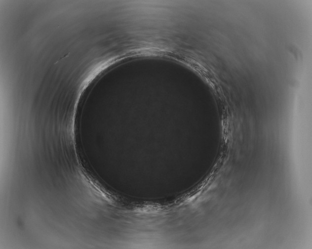 X0000110890196200906181252
