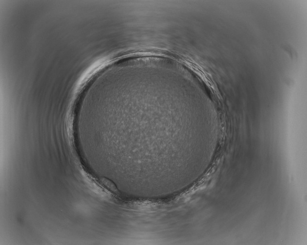 X0000110890197200906181252