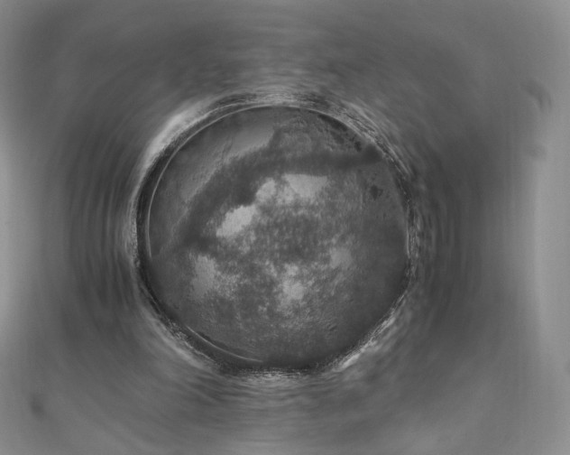 X0000110890198200906181252