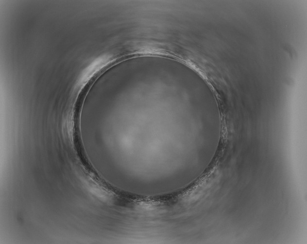 X0000110890199200906181252