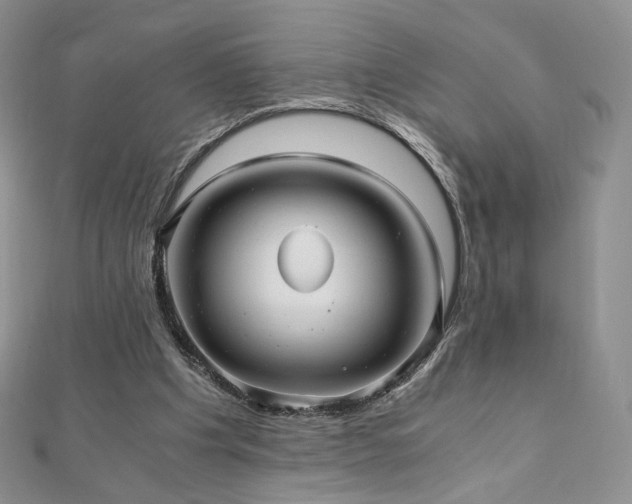 X0000110890201200906181252