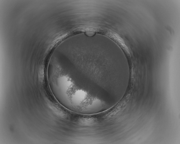 X0000110890202200906181252