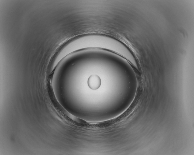 X0000110890203200906181252