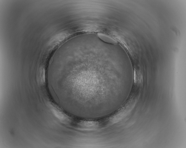 X0000110890205200906181252