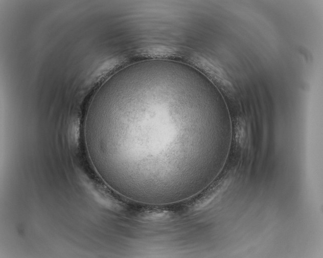X0000110890206200906181252