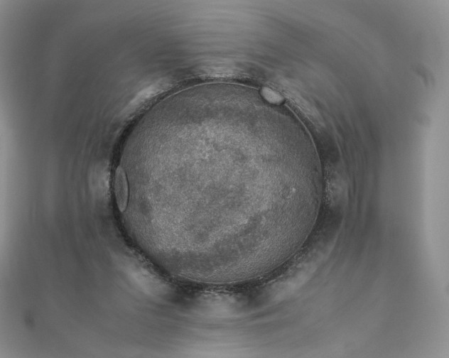 X0000110890207200906181252