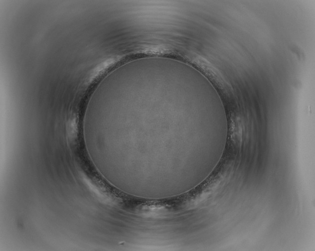 X0000110890208200906181252