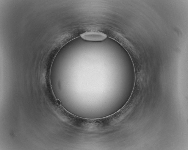X0000110890209200906181252