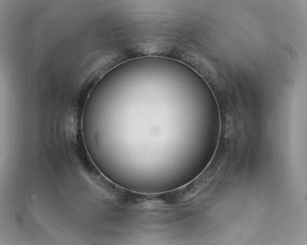X0000110890210200906181252