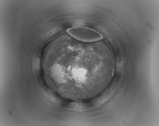 X0000110890211200906181252
