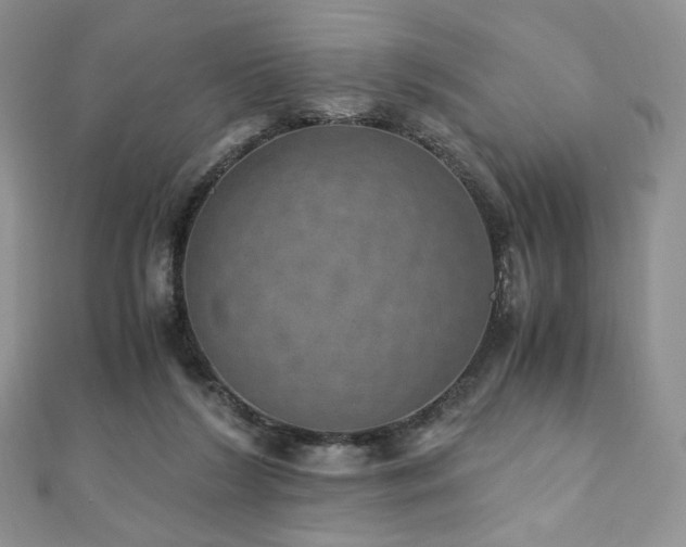 X0000110890212200906181252
