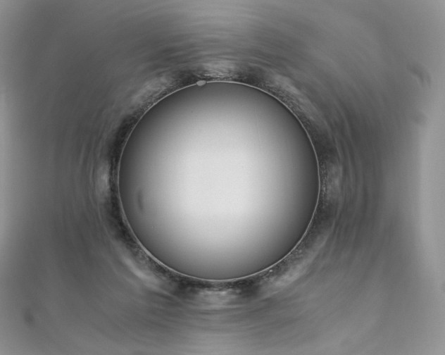X0000110890213200906181252